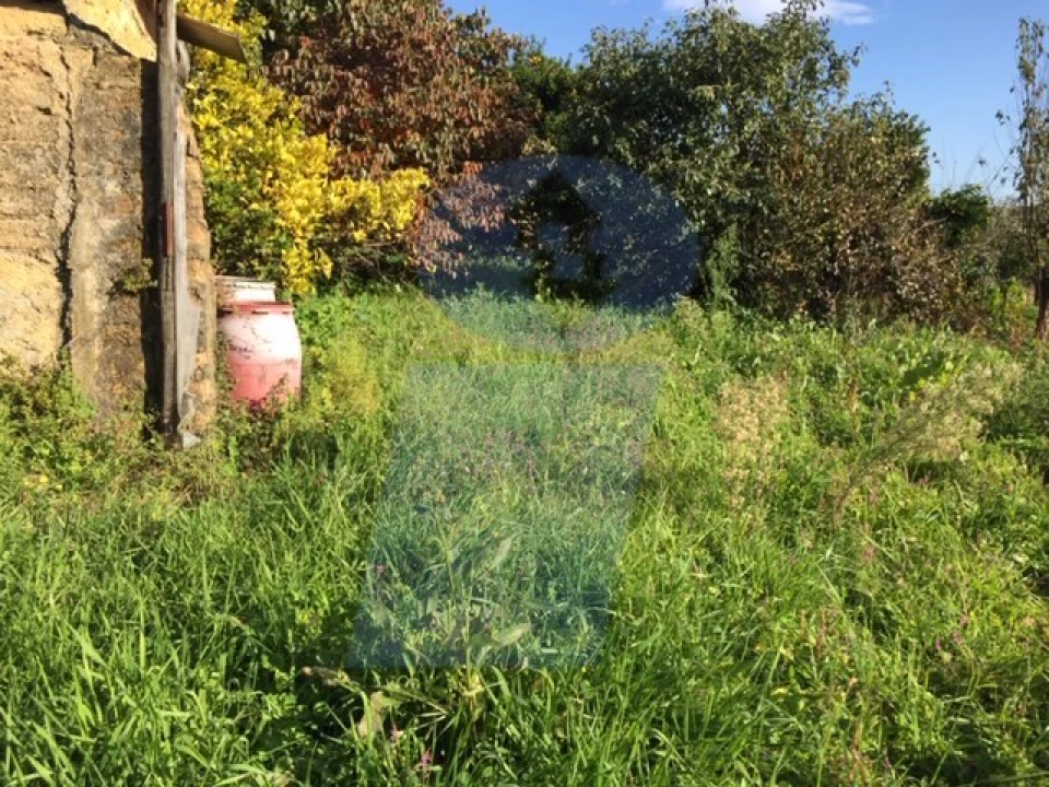 Moradia T2 para Venda em Amoreira da Gândara, Paredes do Bairro e Ancas Foto 5