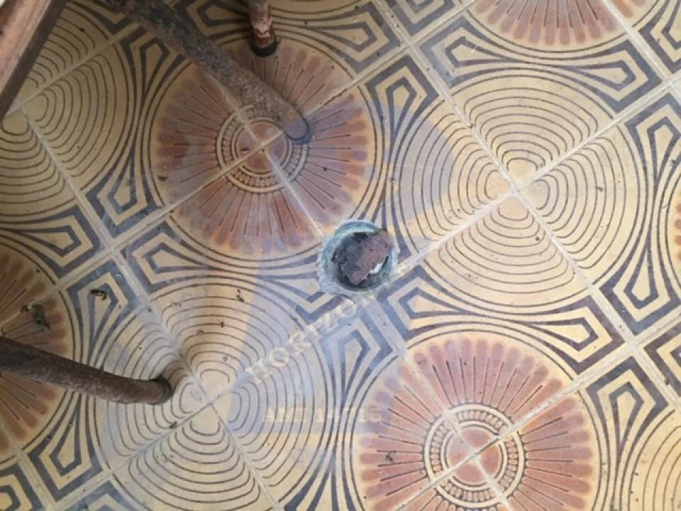 Moradia T2 para Venda em Amoreira da Gândara, Paredes do Bairro e Ancas Foto 16