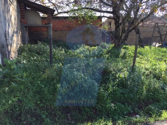 Moradia T2 para Venda em Amoreira da Gândara, Paredes do Bairro e Ancas Foto 2