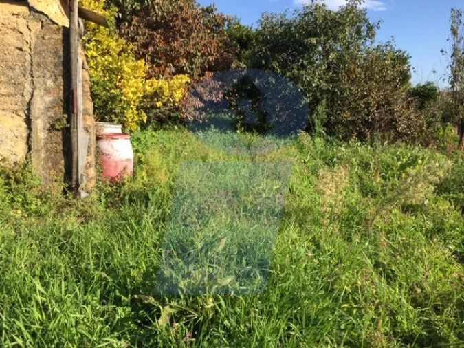 Moradia T2 para Venda em Amoreira da Gândara, Paredes do Bairro e Ancas Foto 5