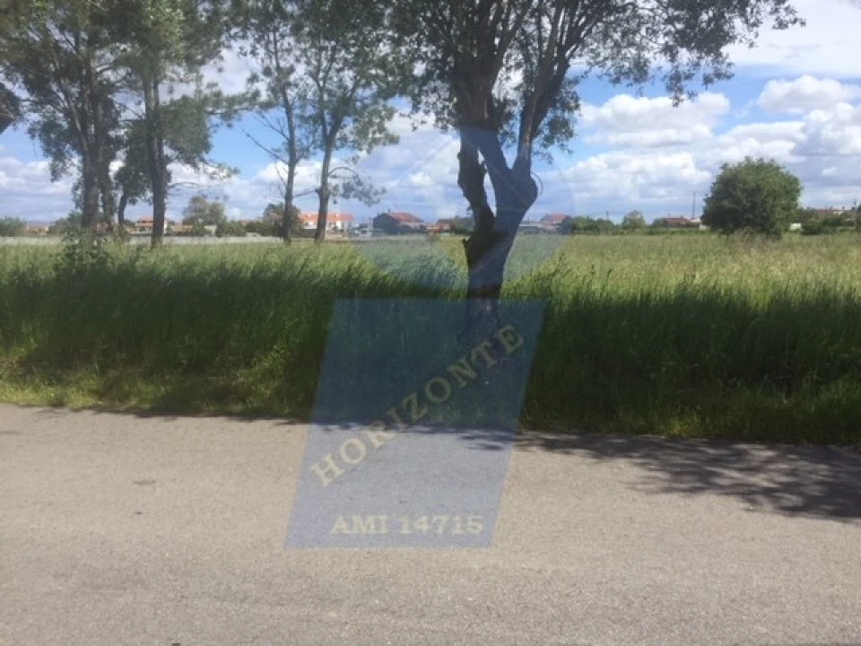 Terreno para Venda em Soza Foto 3