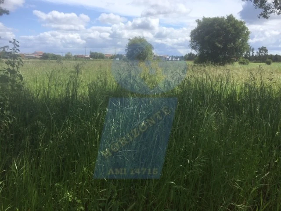 Terreno para Venda em Soza Foto 4