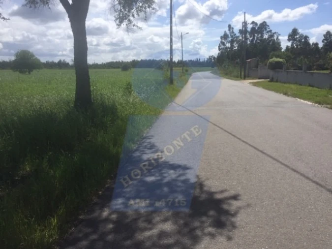 Terreno para Venda em Soza Foto 1