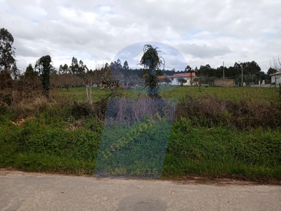 Terreno para Venda em Aguada de Cima Foto 2