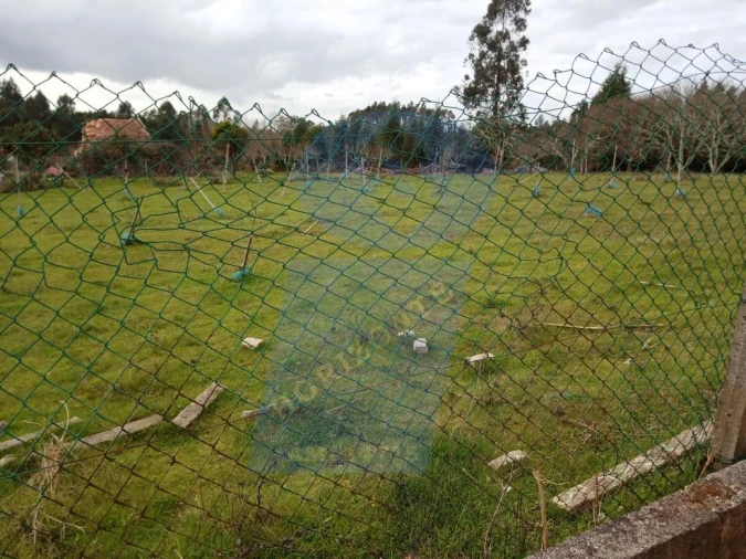 Terreno para Venda em Aguada de Cima Foto 6