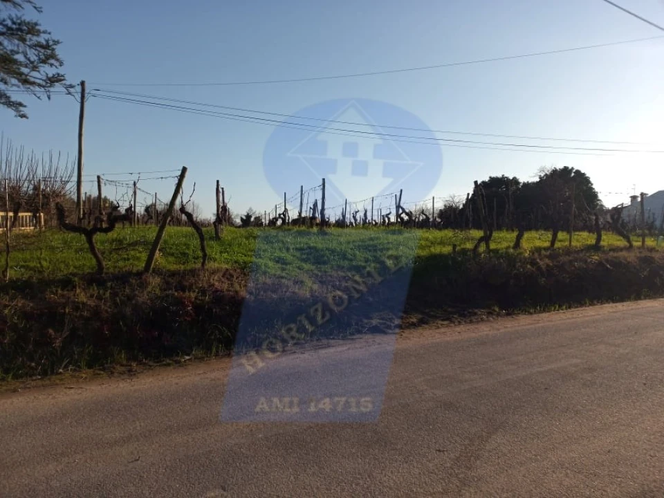 Terreno para Venda em Bustos, Troviscal e Mamarrosa Foto 2