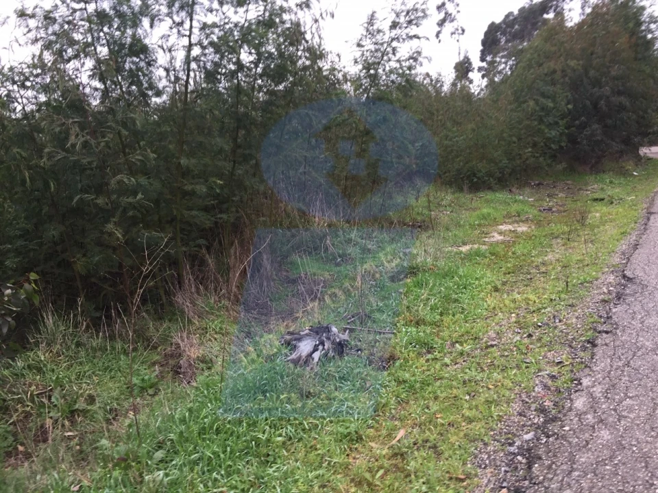 Terreno Agricola ou Rústico para Venda em Requeixo, Nossa Senhora de Fátima e Nariz Foto 2