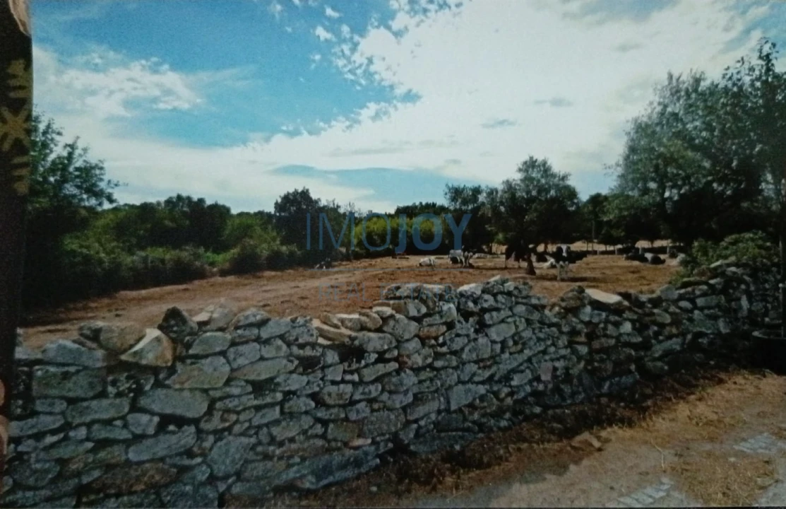 Terreno Agricola ou Rústico para Venda em Castelo Mendo, Ade, Monteperobolso e Mesquitela Foto 7