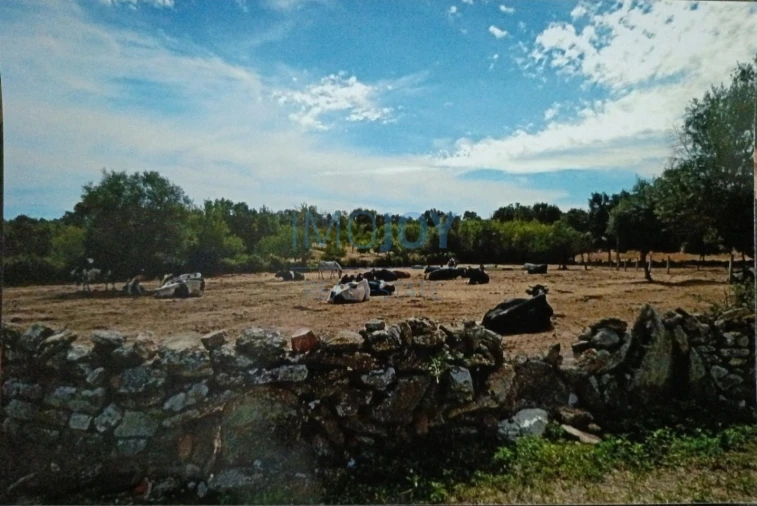 Terreno Agricola ou Rústico para Venda em Castelo Mendo, Ade, Monteperobolso e Mesquitela Foto 11