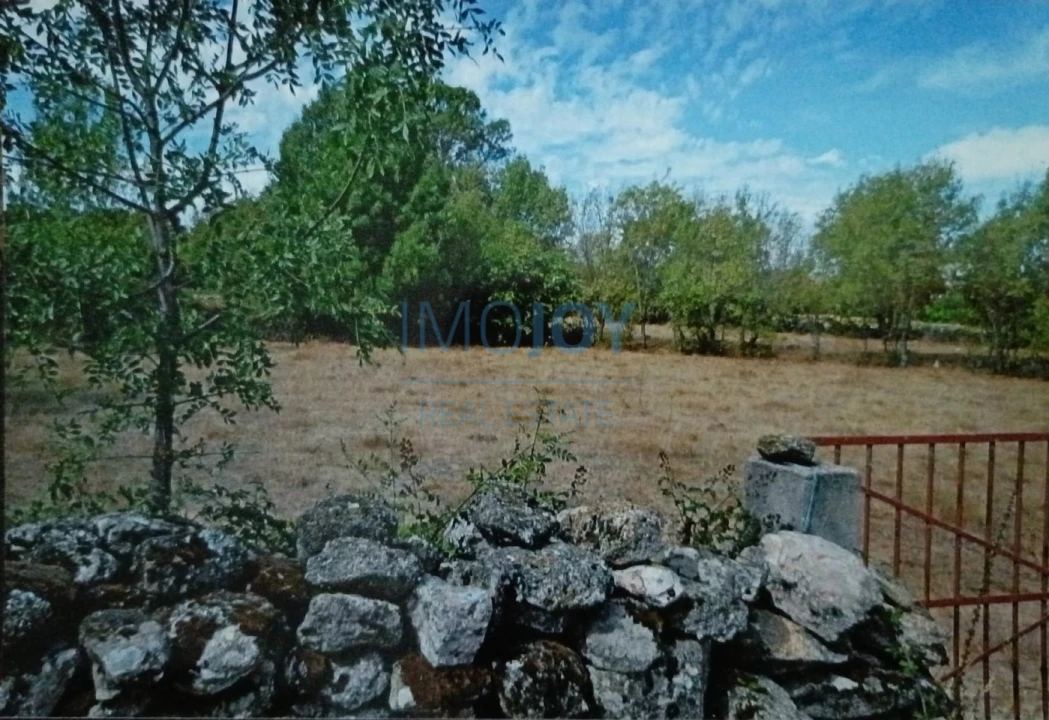 Terreno Agricola ou Rústico para Venda em Castelo Mendo, Ade, Monteperobolso e Mesquitela Foto 4