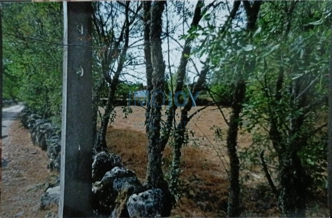 Terreno Agricola ou Rústico para Venda em Castelo Mendo, Ade, Monteperobolso e Mesquitela Foto 6