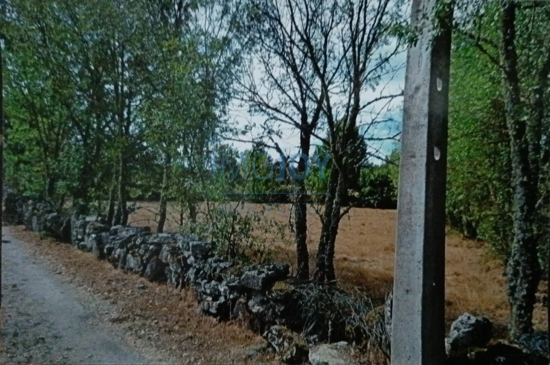 Terreno Agricola ou Rústico para Venda em Castelo Mendo, Ade, Monteperobolso e Mesquitela Foto 14