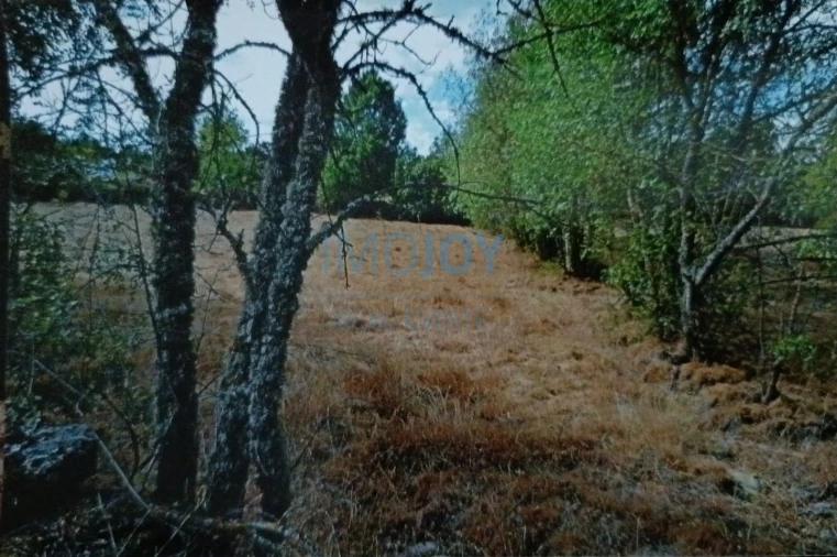 Terreno Agricola ou Rústico para Venda em Castelo Mendo, Ade, Monteperobolso e Mesquitela Foto 2