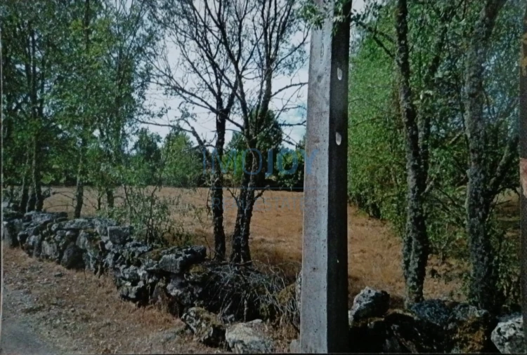 Terreno Agricola ou Rústico para Venda em Castelo Mendo, Ade, Monteperobolso e Mesquitela Foto 3