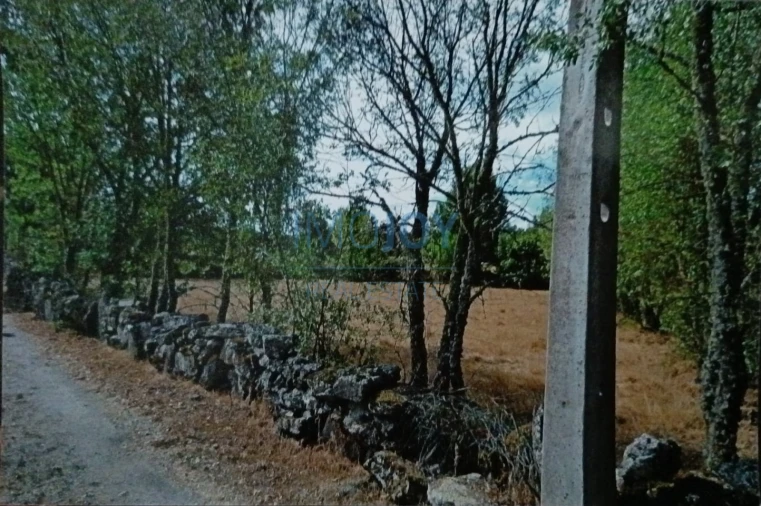 Terreno Agricola ou Rústico para Venda em Castelo Mendo, Ade, Monteperobolso e Mesquitela Foto 5