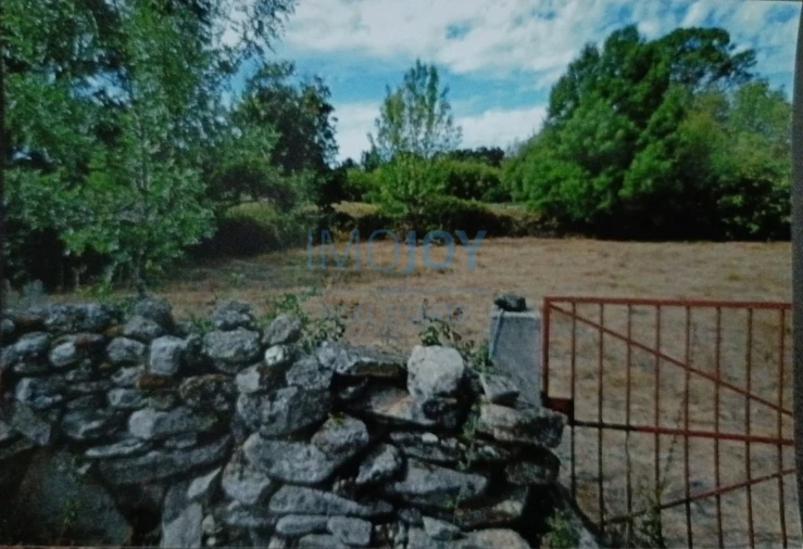 Terreno Agricola ou Rústico para Venda em Castelo Mendo, Ade, Monteperobolso e Mesquitela Foto 7