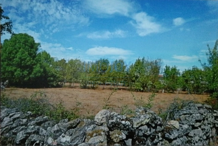 Terreno Agricola ou Rústico para Venda em Castelo Mendo, Ade, Monteperobolso e Mesquitela Foto 8