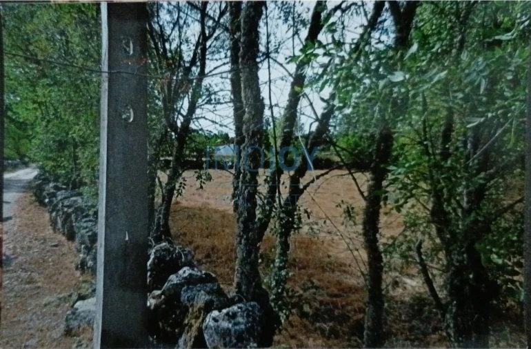 Terreno Agricola ou Rústico para Venda em Castelo Mendo, Ade, Monteperobolso e Mesquitela Foto 13