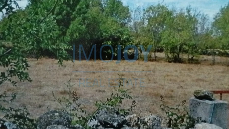 Terreno Agricola ou Rústico para Venda em Castelo Mendo, Ade, Monteperobolso e Mesquitela