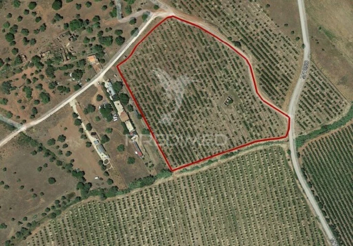 Quinta T1 para Venda em Vila Nova de Cacela Foto 1