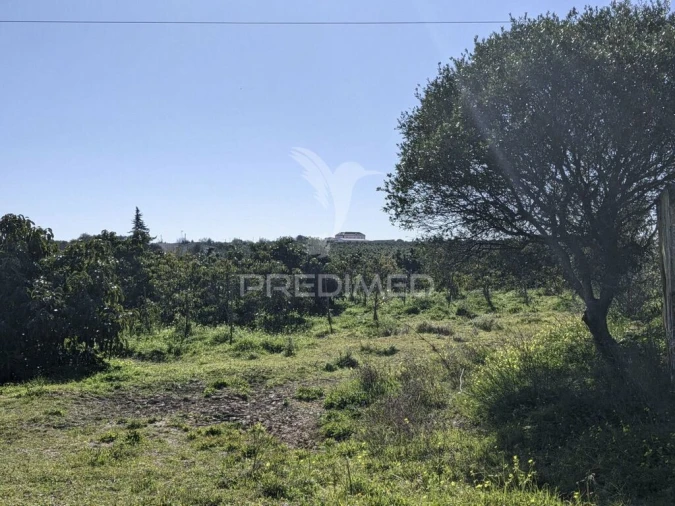 Quinta T1 para Venda em Vila Nova de Cacela Foto 7