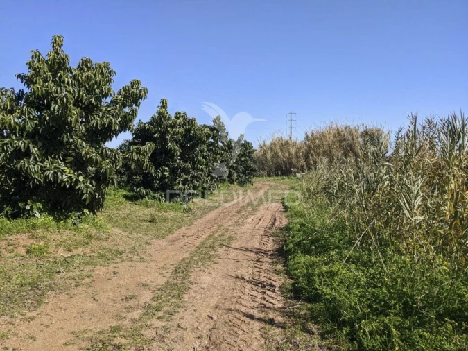 Quinta T1 para Venda em Vila Nova de Cacela Foto 18