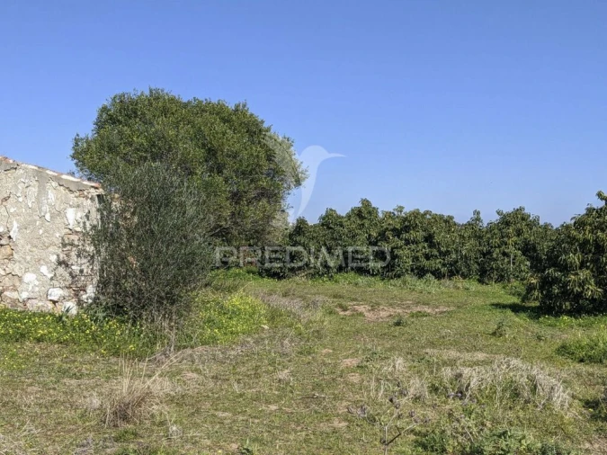 Quinta T1 para Venda em Vila Nova de Cacela Foto 8