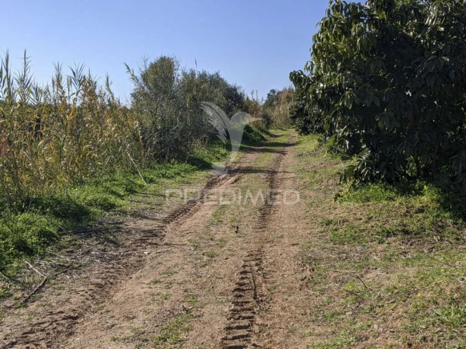 Quinta T1 para Venda em Vila Nova de Cacela Foto 17