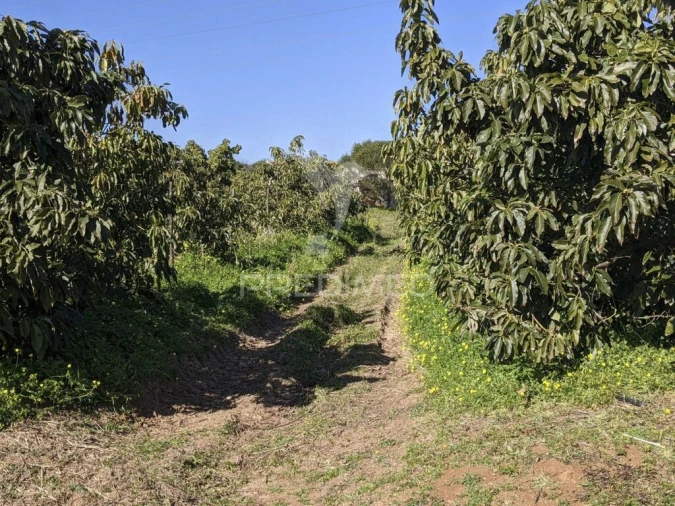 Quinta T1 para Venda em Vila Nova de Cacela Foto 19