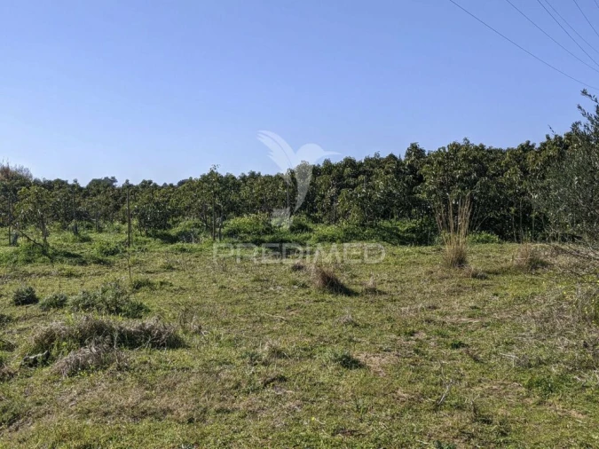 Quinta T1 para Venda em Vila Nova de Cacela Foto 13