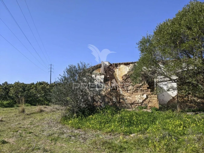 Quinta T1 para Venda em Vila Nova de Cacela Foto 3