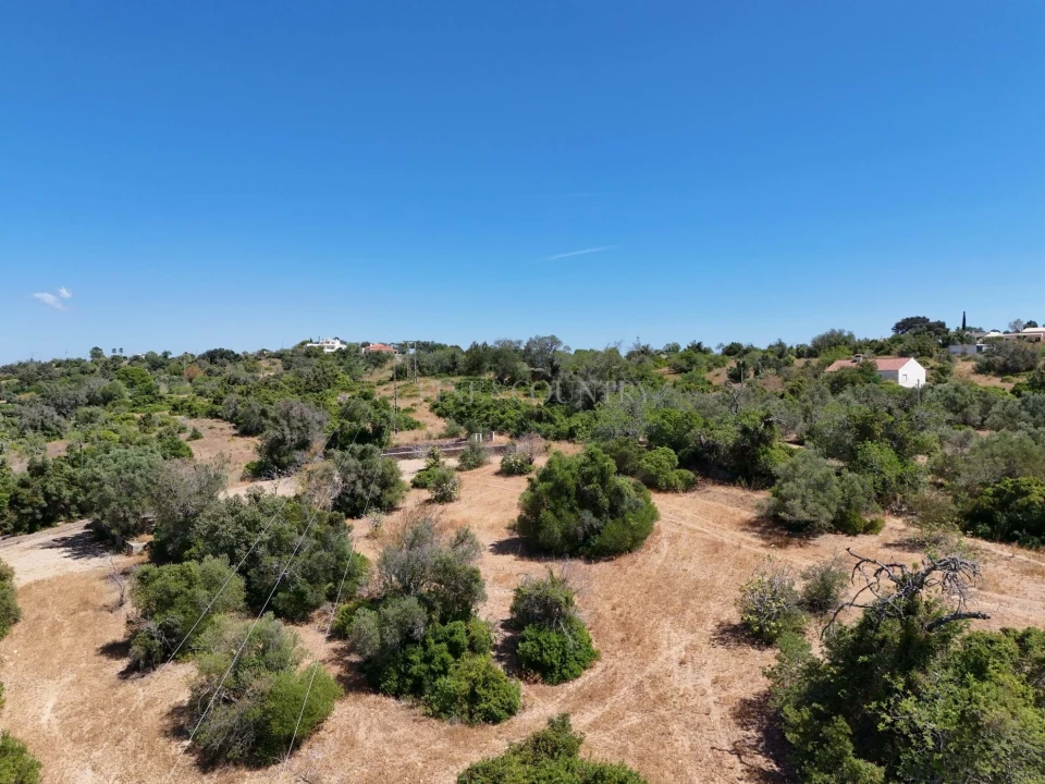 Terreno para Venda em Loule (São Clemente) Foto 6