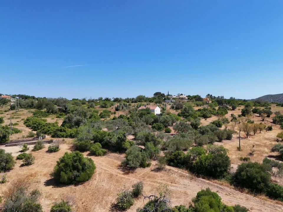 Terreno para Venda em Loule (São Clemente) Foto 3