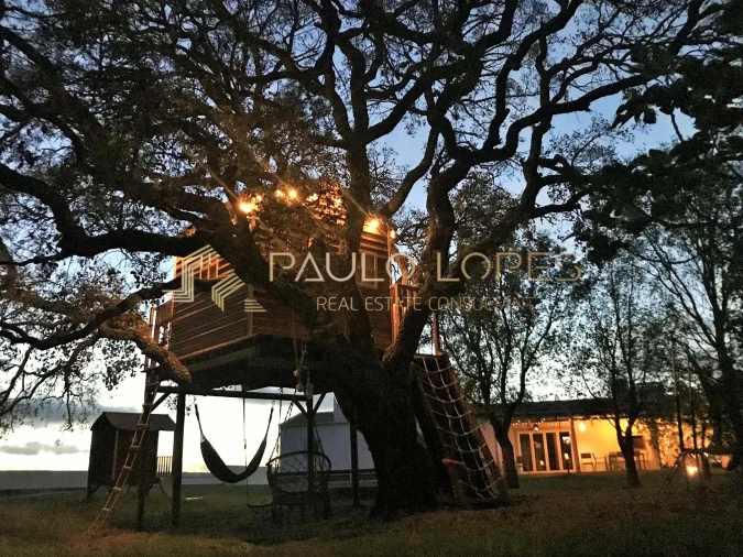 Quinta T26 para Venda em São Teotónio Foto 44