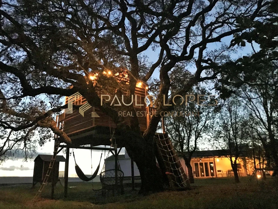 Quinta T26 para Venda em São Teotónio Foto 44