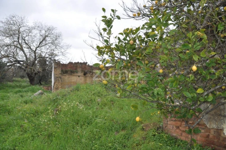 Terreno para Venda em Vidigueira Foto 9