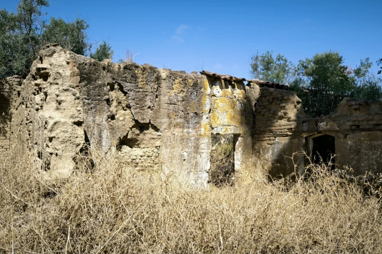 Terreno para Venda em Vidigueira Foto 3