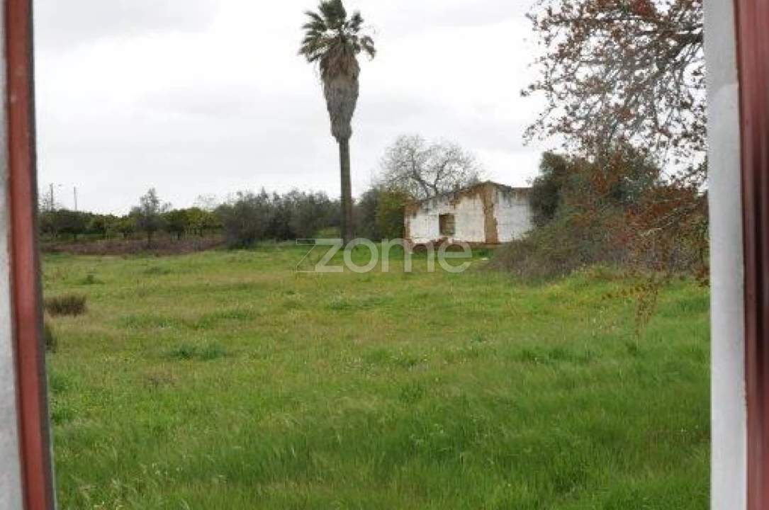 Terreno para Venda em Vidigueira Foto 10