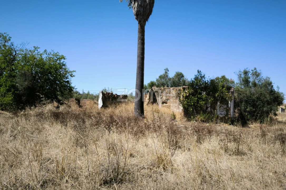 Terreno para Venda em Vidigueira Foto 2