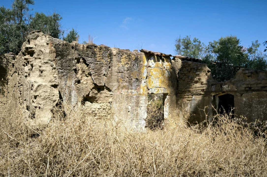 Terreno para Venda em Vidigueira Foto 3