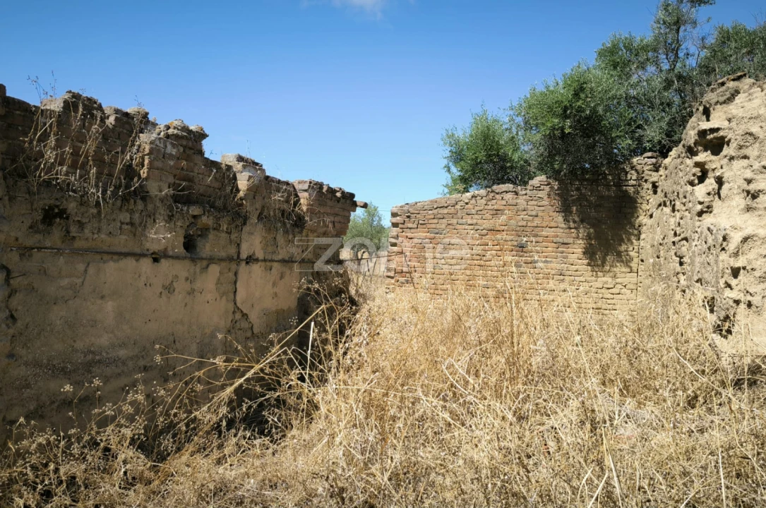 Terreno para Venda em Vidigueira Foto 4