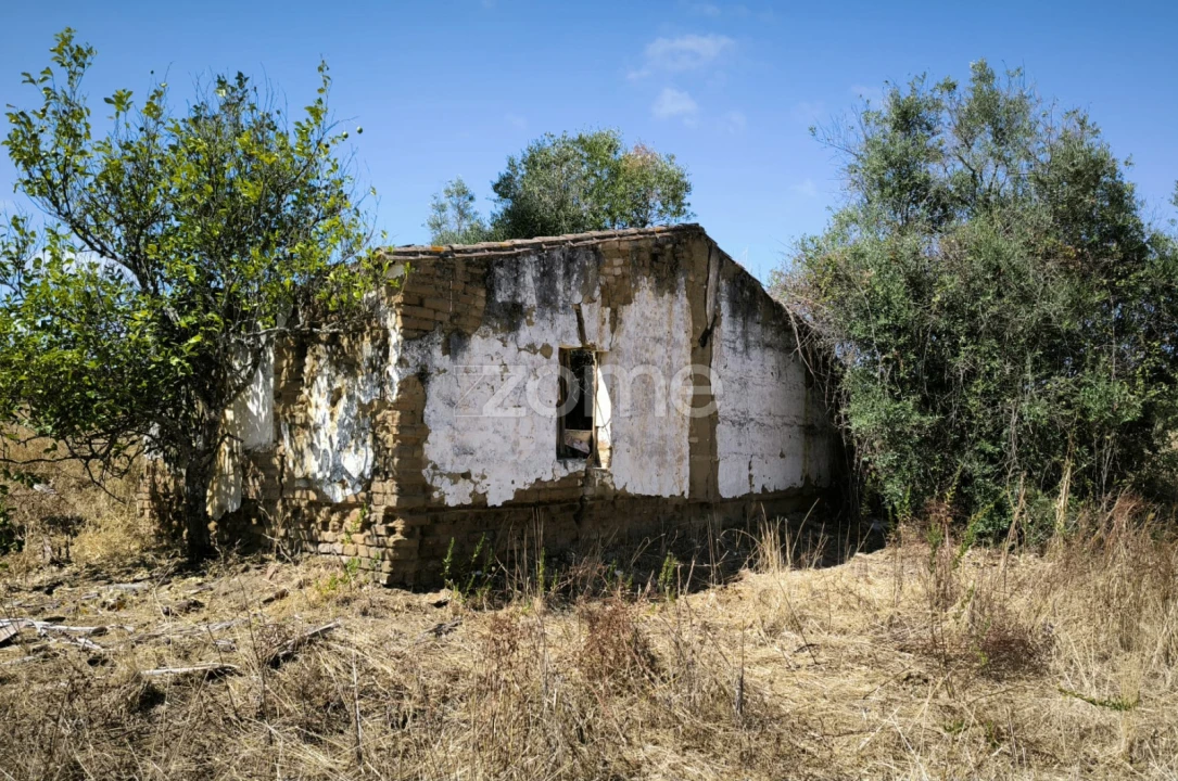 Terreno para Venda em Vidigueira Foto 5