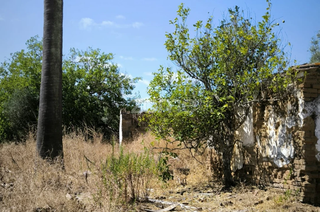 Terreno para Venda em Vidigueira Foto 6