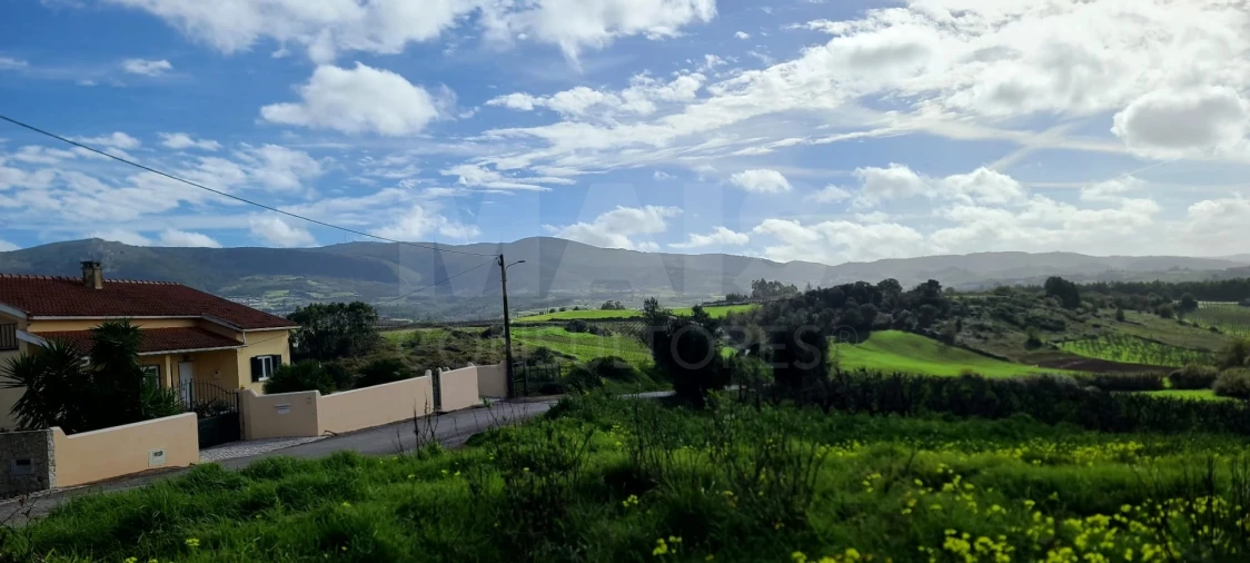 Terreno para Venda em Lamas e Cercal Foto 2