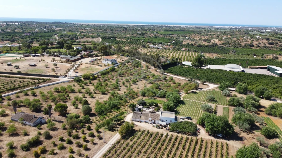 Terreno para Venda em Conceição e Cabanas de Tavira Foto 6