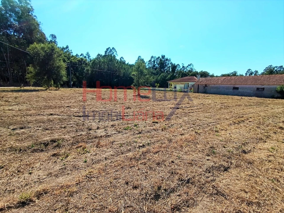 Terreno para Venda em Arazede Foto 2