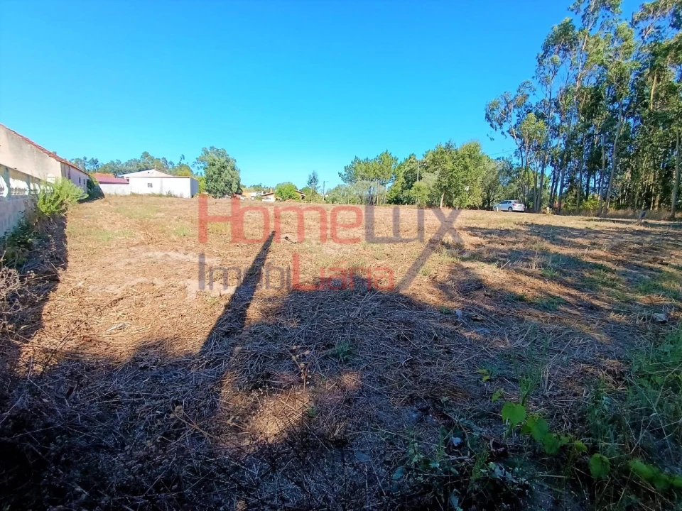 Terreno para Venda em Arazede Foto 6