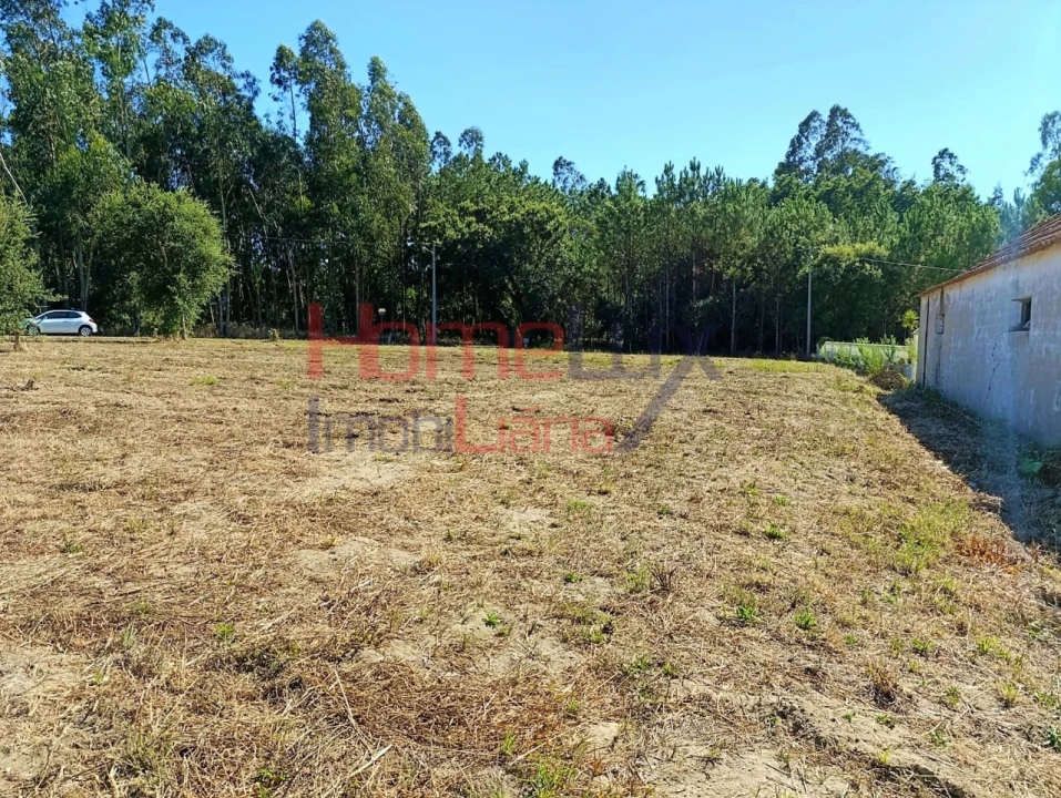 Terreno para Venda em Arazede Foto 10