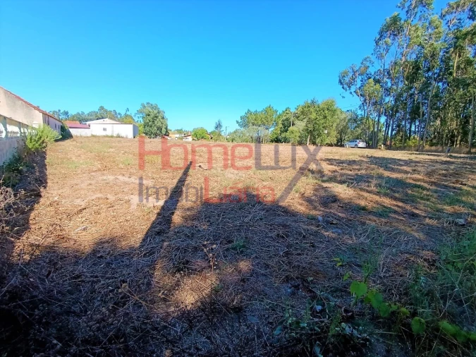 Terreno para Venda em Arazede Foto 6