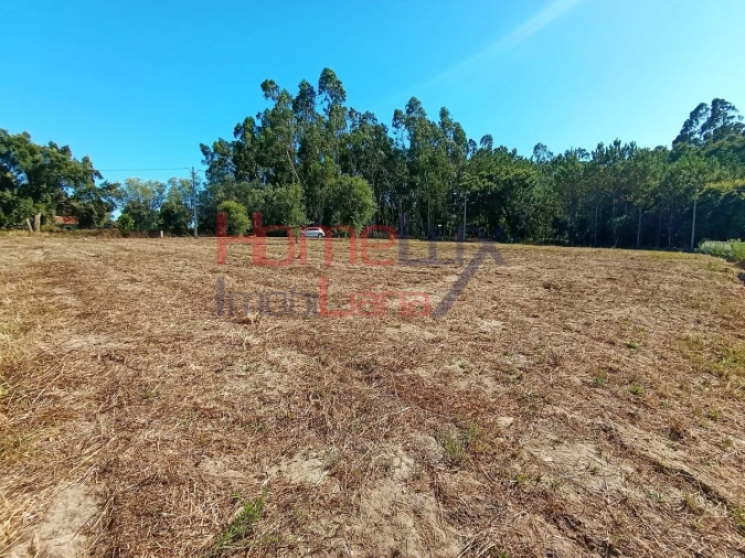 Terreno para Venda em Arazede Foto 13